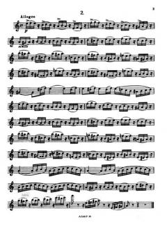 30 Studien für Flöte solo von Nikolai Platonow im Alle Noten Shop kaufen