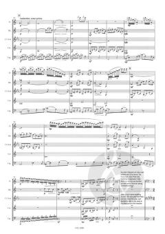 Peter und der Wolf für Holzbläserquintett (Sergei Sergejewitsch Prokofjew) 