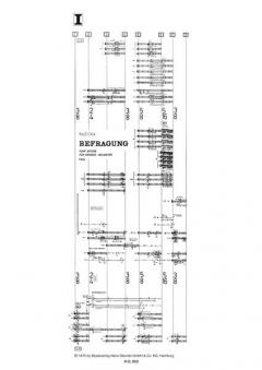 Befragung von Peter Ruzicka 