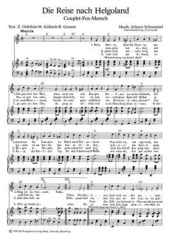 Die Reise nach Helgoland von Johann Schrammel 