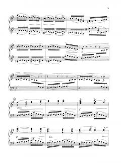 Die Moldau von Bedrich Smetana 