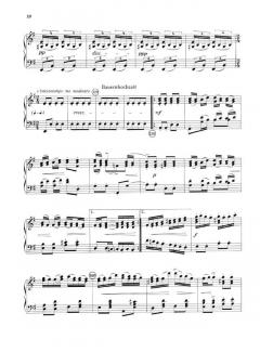 Die Moldau von Bedrich Smetana 