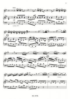 Concerto à 5 für Flöte, Streicher und Bc von Guiseppe Tartini im Alle Noten Shop kaufen