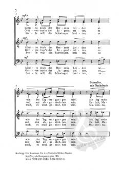 Ave Maria von Karl May 