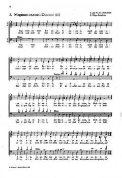 Das Buch der Weihnachtslieder: Chorheft Nr. 3 