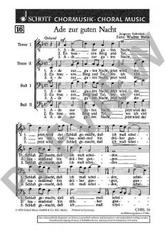 Ade zur guten Nacht von Walter Rein 