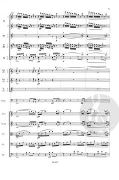 Sinfonie Nr. 8 G-Dur op. 88 B 163 von Antonín Dvorák 