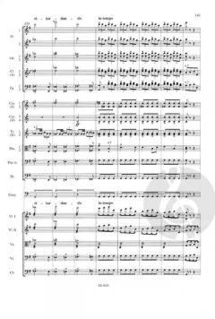 Sinfonie Nr. 8 G-Dur op. 88 B 163 von Antonín Dvorák 