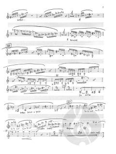 Ricercari Notturni von Stanislaw Skrowaczewski 