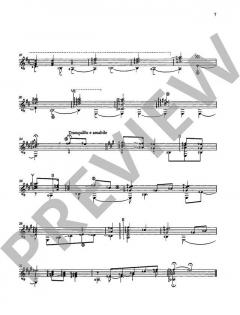 Canti Carinthiae von Günther Mittergradnegger 