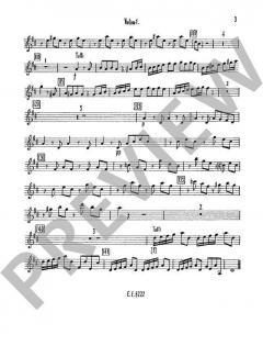 Concerto D-Dur op. 7/11 RV 208 / PV 151 (Antonio Vivaldi) 