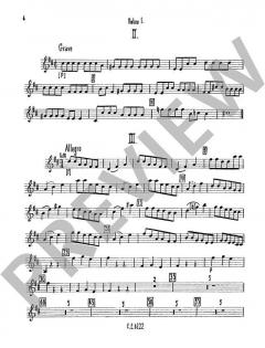 Concerto D-Dur op. 7/11 RV 208 / PV 151 (Antonio Vivaldi) 