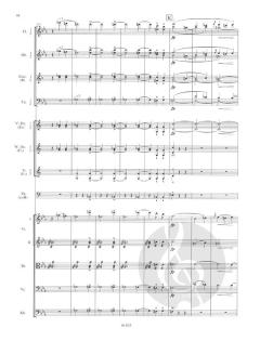 Sinfonie Nr. 3 Es-Dur op. 97 von Robert Schumann 