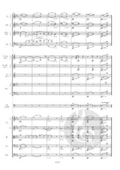 Sinfonie Nr. 3 Es-Dur op. 97 von Robert Schumann 