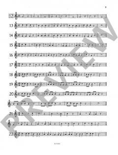 Le Flûtiste en Herbe von Francois Daneels 