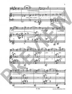 Le Tromboniste Débutant Contemporain von Claude Pichaureau 