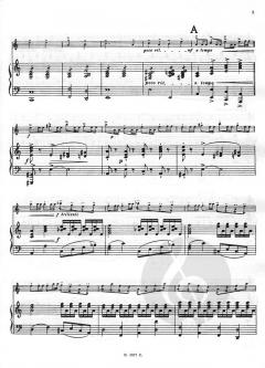 Concertino in la Minore von Alberto Curci 