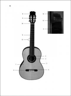 Guitar Master von Roberto Fabbri 