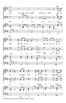 Blades Of Grass And Pure White Stones (Lowell Alexander) 