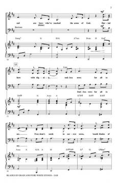 Blades Of Grass And Pure White Stones (Lowell Alexander) 