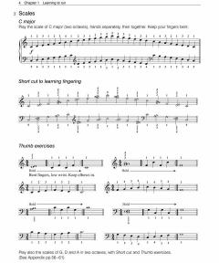 Piano Lessons Book 2 von M. Harewood 