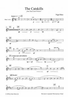 The Catskills von Nigel Hess 