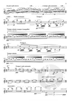 Sonata (Solo Violin) von Nicholas Maw im Alle Noten Shop kaufen