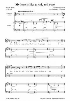 Music For Special Occasions 