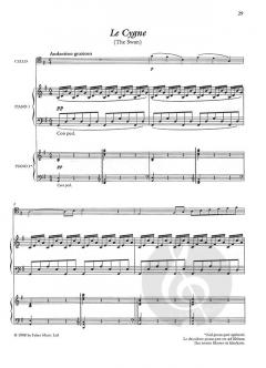 Complete Shorter Works (Cello And Piano) von Camille Saint-Saëns im Alle Noten Shop kaufen