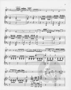 Variations in F von Friedrich Dionys Weber 