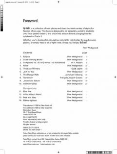 Up-Grade! Flute Grades 2-3 von Pam Wedgwood 