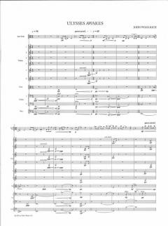 Ulysses Awakes von John Woolrich 
