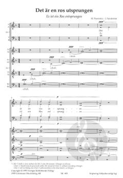 Es ist ein Ros entspungen (Michael Praetorius) 