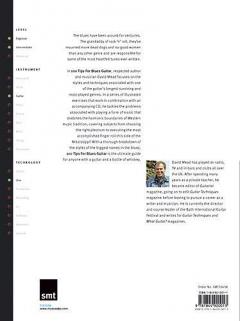 100 Tips For Blues Guitar You Should Have Been Told von David Mead 