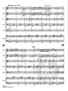 Hungarian Rhapsody No. 2 von Franz Liszt 