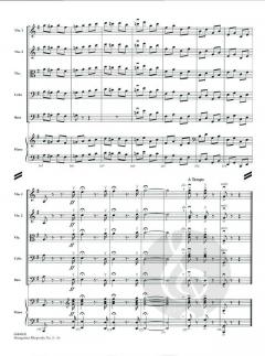 Hungarian Rhapsody No. 2 von Franz Liszt 