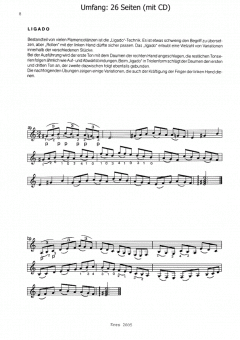 Wie spiele ich Flamenco-Gitarre von Georg Rist 