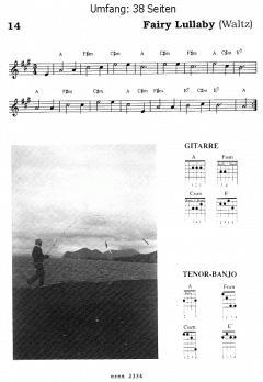 Hits aus Irland 2 (F. Packeiser) 