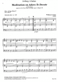 Drei Meditationen (Orgel) von Wolfgang Lindner im Alle Noten Shop kaufen