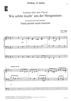 Wie schön leucht' uns der Morgenstern (Orgel) von Artur Kapp im Alle Noten Shop kaufen
