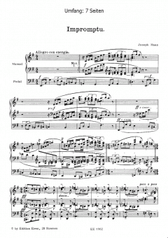 Zwei Stücke (Orgel) von Joseph Haas im Alle Noten Shop kaufen