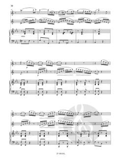 Duo Concertant op. 55 von Jean Baptiste Singelee 