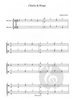 Talking Sticks Band 1 (Matthias Krohn) 