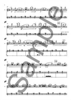 Radiant Music von Nico Muhly 