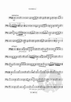 Sonata in Re Maggiore von Vinci 