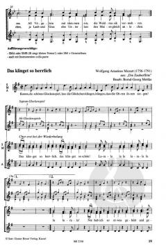 Journal D'hivers per Vl.vlc Et (G. Pernaiachi) 