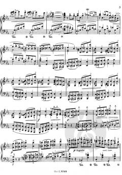 Sonates Integrales von Frédéric Chopin 