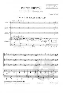 Flute Fiesta von Colin Evans 