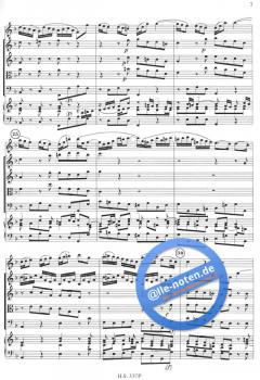 Konzert in F-Dur nach BWV 1053 (J.S. Bach) 