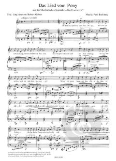 Feuerwerk von Paul Burkhard 